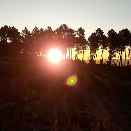 Domaine Des Hauts De Vernon Vernon  المظهر الخارجي الصورة