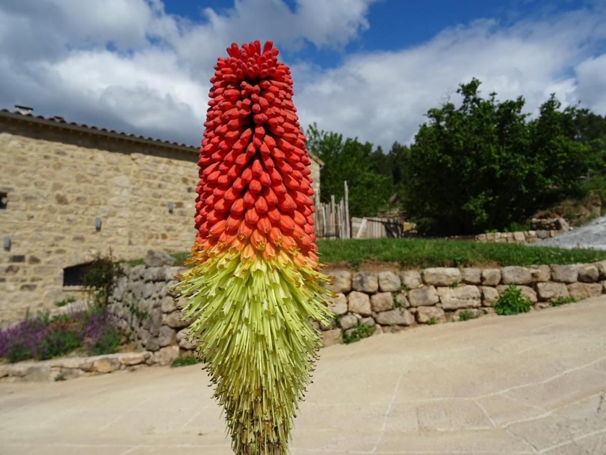 Domaine Des Hauts De Vernon Vernon  المظهر الخارجي الصورة