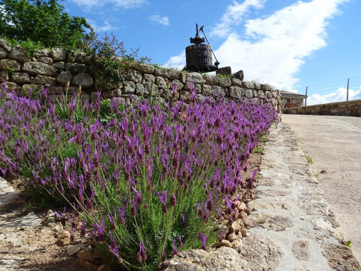 Domaine Des Hauts De Vernon Vernon  المظهر الخارجي الصورة