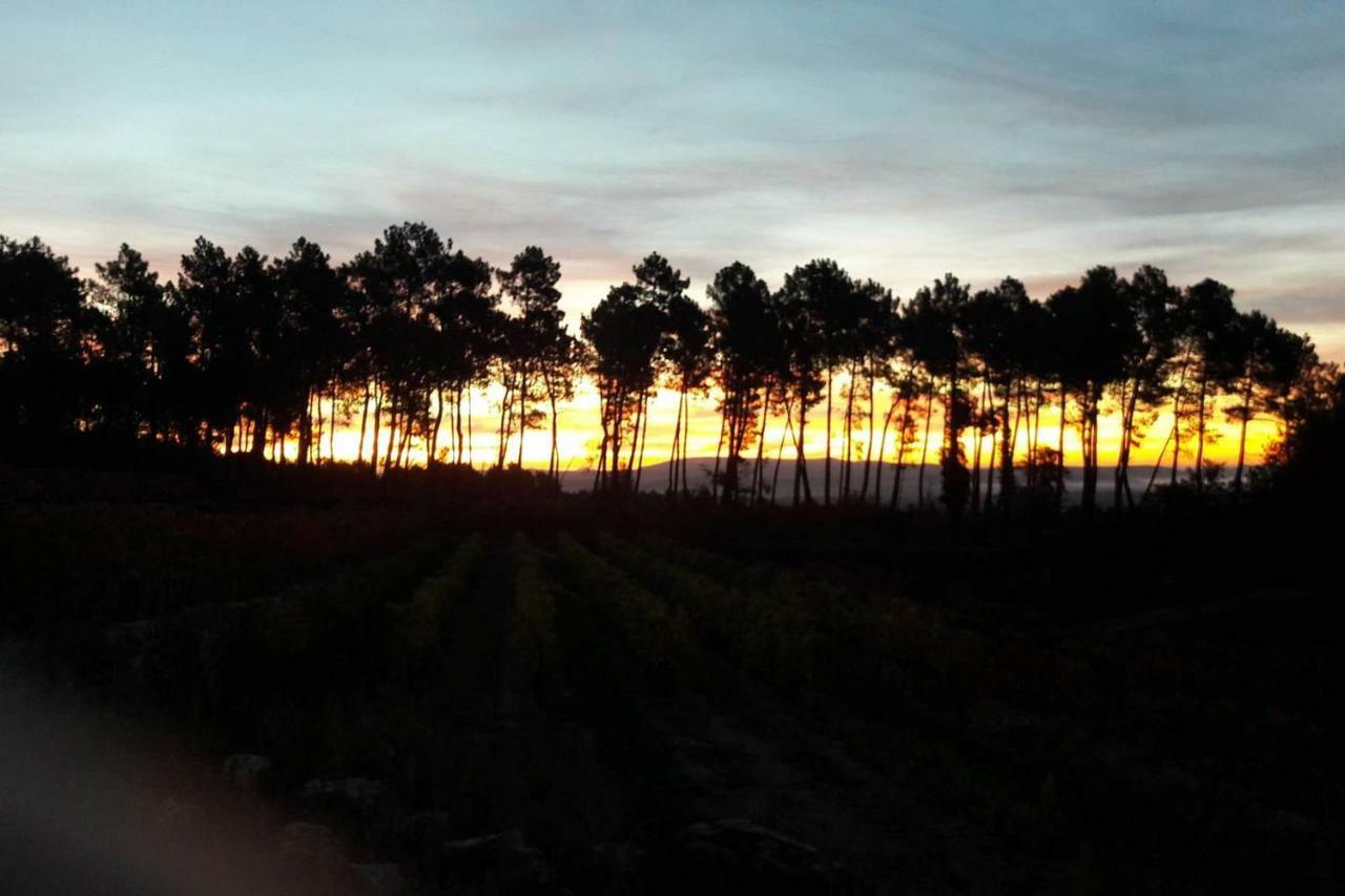 Domaine Des Hauts De Vernon Vernon  المظهر الخارجي الصورة
